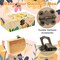 Unfinished Small Wooden Jewelry Storage Box With Hinged Lid - 12 Pack, 6 x 3.8 x 2 Inch - DIY Craft Keepsake for Kids, Gift, Home Decor, Treasure Chest